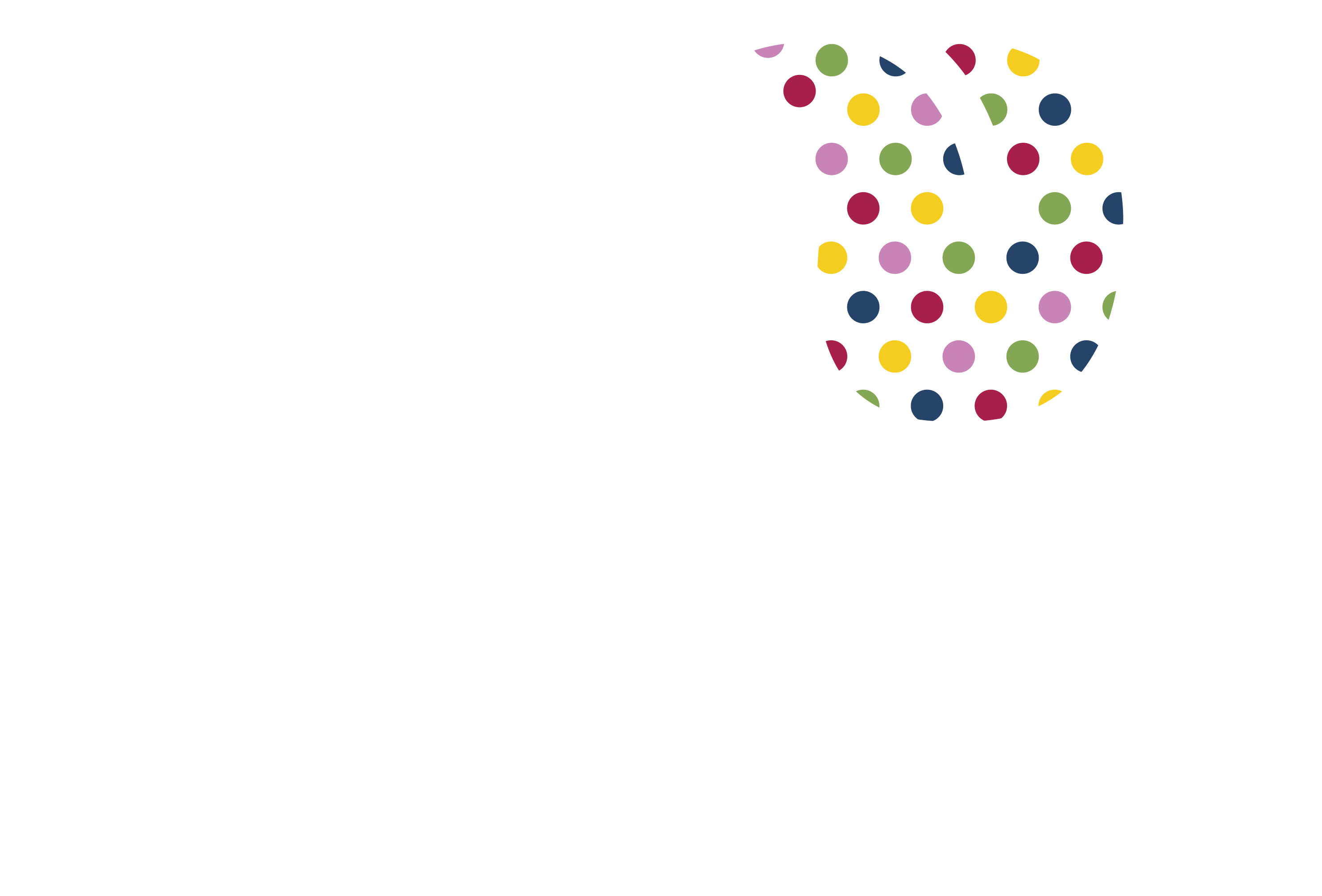Logo 1001 Flavours